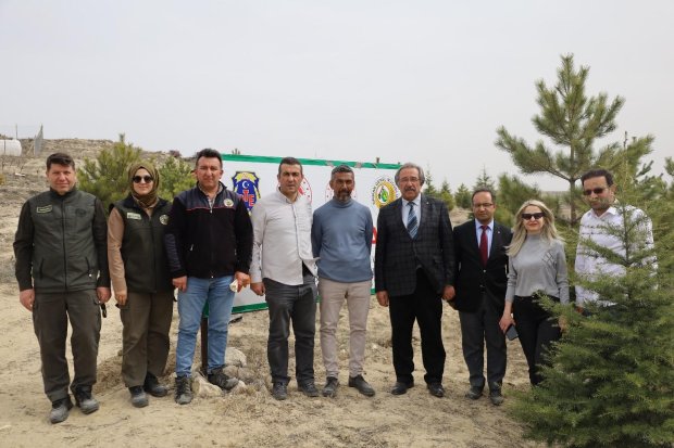 Orman Haftası Dolayısıyla Fidan Dikim Etkinliği Gerçekleştirildi