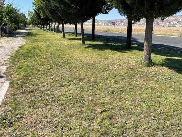 Avanos Belediyesi olarak yeşile değer, kente nefes katmaya devam ediyoruz.