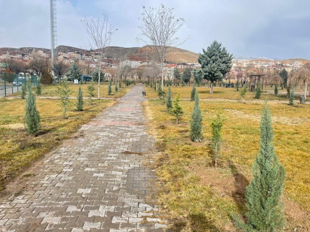 AĞAÇLANDIRMA ÇALIŞMALARI