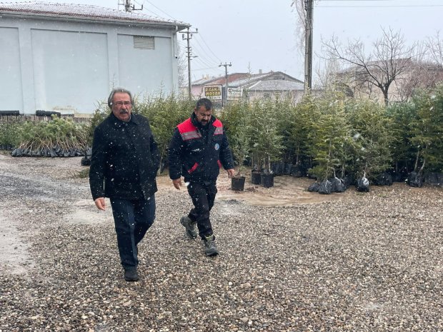 AĞAÇLANDIRMA ÇALIŞMALARI