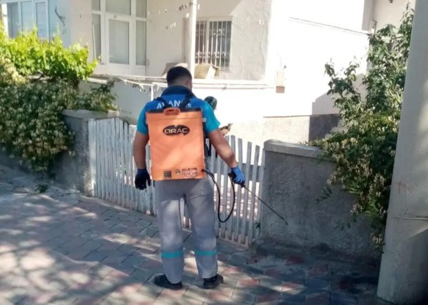 Haşere ve Böceklere Karşı İlaçlama Çalışmaları Yapılıyor