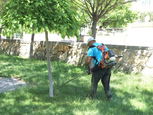 İlçemiz Genelinde Yeşil Alan Bakımları Yapılıyor