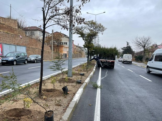 Ağaç Dikim Çalışmalarımız Yoğun Bir Tempo İle Devam Ediyor. Belediye Başkanımız Sayın Mustafa Kenan Sarıtaş, ağaçlandırma çalışmalarına bizzat ağaç dikerek katkı sağladı.