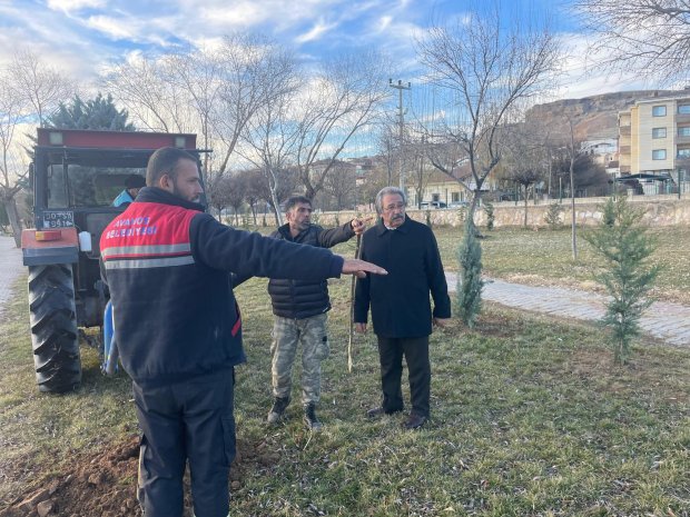 AĞAÇ DİKİM ÇALIŞMALARIMIZ DEVAM EDİYOR